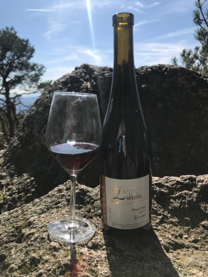Gite - Chez Josephine Dambach la Ville Bagian luar foto