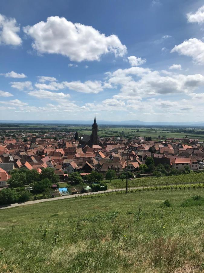 Gite Les Cles Des Vignes Dambach la Ville Bagian luar foto