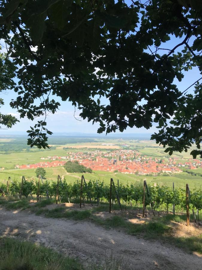 Gite Les Cles Des Vignes Dambach la Ville Bagian luar foto